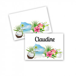 Porte-noms carte Guyane (lot de 10)