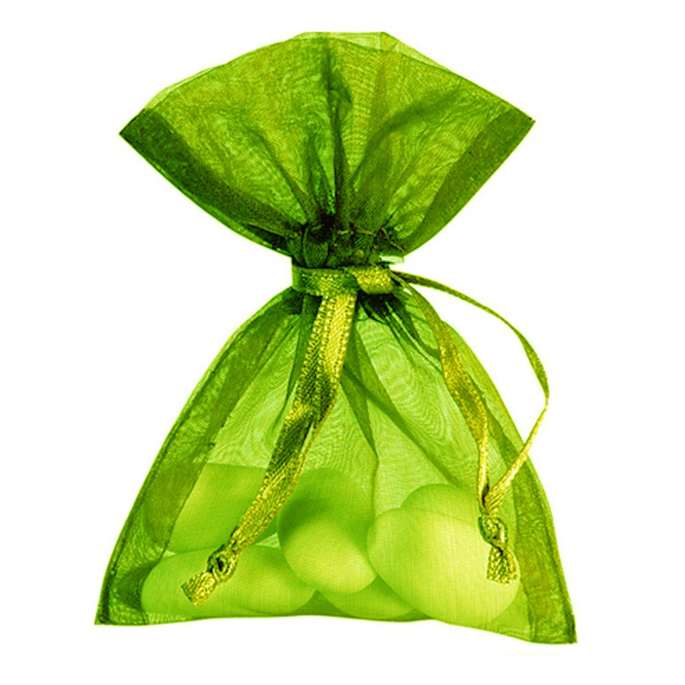 sac anniversaire vert (sachet de 24 pièces) - contenant dragées pas cher