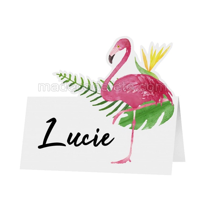 6 Marque Place Flamant Rose